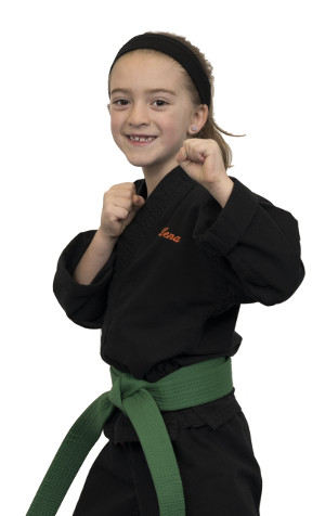 Young AmeriKick student in a karate stance wearing a green belt